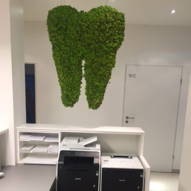 Druckerterminal, Zahnskulptur aus Moos